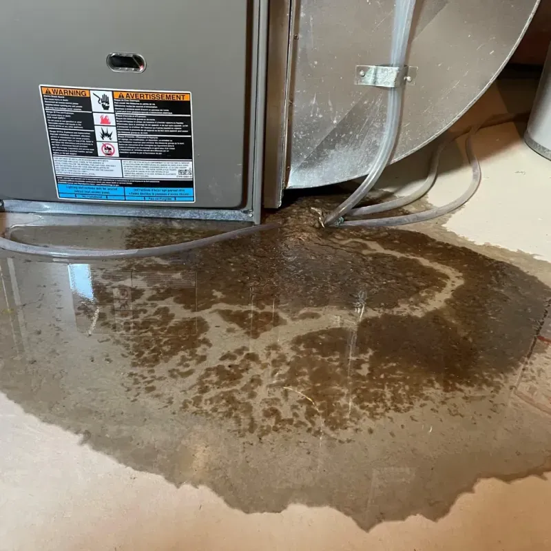 Appliance Leak Cleanup in Lake Park, FL